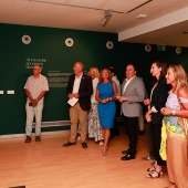 Exposición