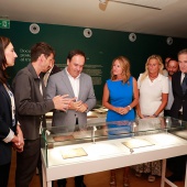 Exposición