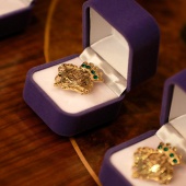 Insignias