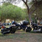 Big Twin España