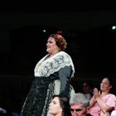 Reina de las Fiestas de Castellón 2027
