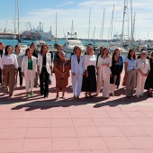 Consell Provincial de la Dona
