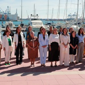 Consell Provincial de la Dona