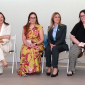Consell Provincial de la Dona
