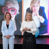 Consell Provincial de la Dona