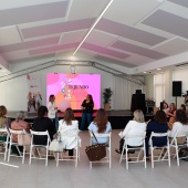 Consell Provincial de la Dona