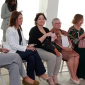 Consell Provincial de la Dona