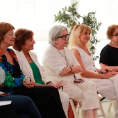 Consell Provincial de la Dona
