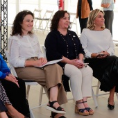Consell Provincial de la Dona