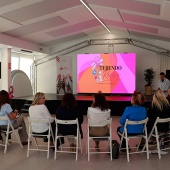 Consell Provincial de la Dona