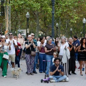 Origen Castelló