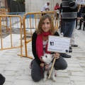 Castellón, espacios para mascotas
