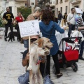 Castellón, espacios para mascotas