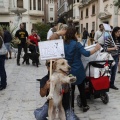 Castellón, espacios para mascotas