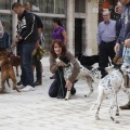 Castellón, espacios para mascotas