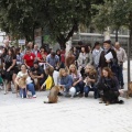 Castellón, espacios para mascotas