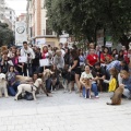 Castellón, espacios para mascotas