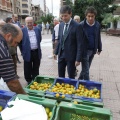Mercado de la Naranja, Castellón