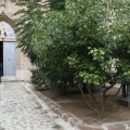 Castellón, Procesión de Sant Roc