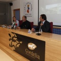 Castellón, marca Cordelia