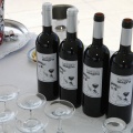 Castellón, marca Cordelia