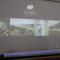 Castellón, marca Cordelia