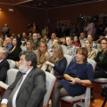 Castellón, Comercio Excelente 2011