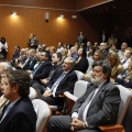 Castellón, Comercio Excelente 2011