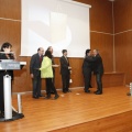 Castellón, Comercio Excelente 2011