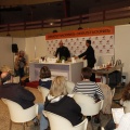 Castellón, CHOCOCAS 2011