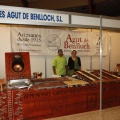 Castellón, CHOCOCAS 2011