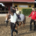 Hipoteràpia, Castelló Poni Club