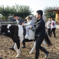 Hipoteràpia, Castelló Poni Club