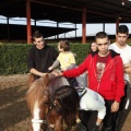 Hipoteràpia, Castelló Poni Club