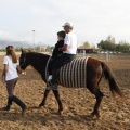 Hipoteràpia, Castelló Poni Club