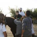 Hipoteràpia, Castelló Poni Club