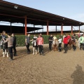 Hipoteràpia, Castelló Poni Club