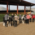 Hipoteràpia, Castelló Poni Club