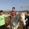 Hipoteràpia, Castelló Poni Club