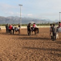 Hipoteràpia, Castelló Poni Club