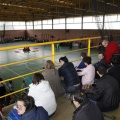 XII Jornada de Deporte Adaptado. Afanías, Castellón