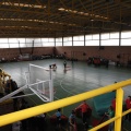 XII Jornada de Deporte Adaptado. Afanías, Castellón
