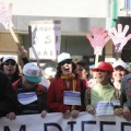 Castellón, V Marcha no Competitiva por la igualdad de oportunidades para las personas con diversidad Funcional.