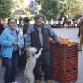 Castellón, Mercado de la Naranja