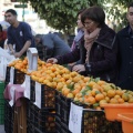 Castellón, Mercado de la Naranja