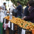 Castellón, Mercado de la Naranja