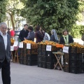 Castellón, Mercado de la Naranja