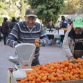 Castellón, Mercado de la Naranja