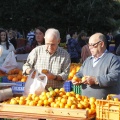 Castellón, Mercado de la Naranja