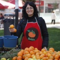 Castellón, Mercado de la Naranja